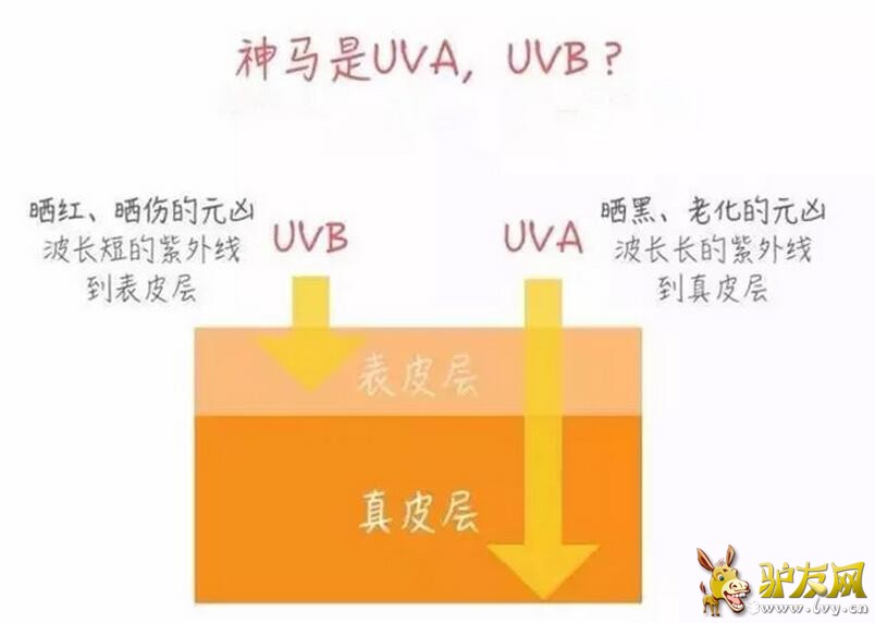 QQ��ͼ20160704150401.jpg
